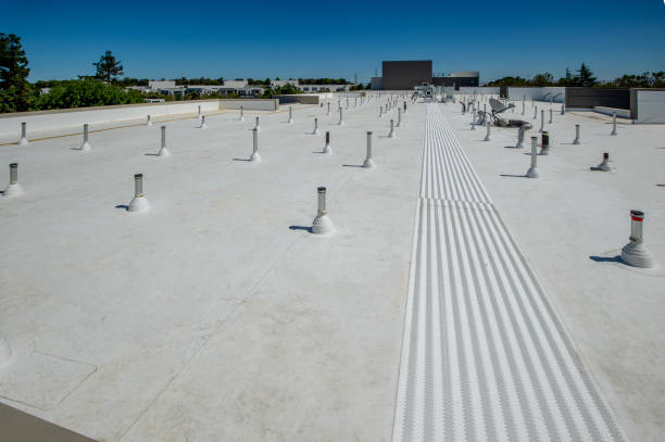 Best Solar Panel Roofing Installation  in Minneapolis, MN